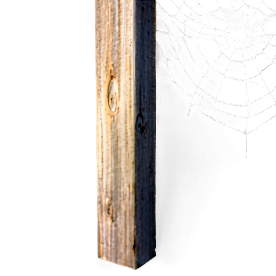 Frosty Spider Webon Wooden Edge