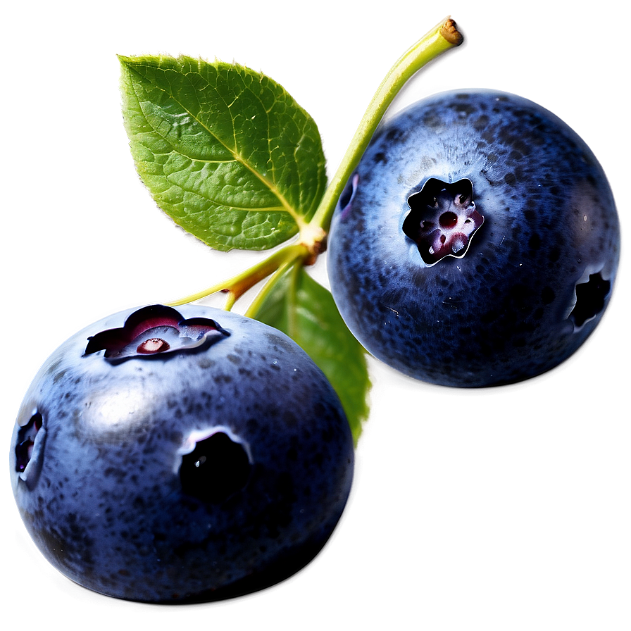 Frozen Blueberries Png 46