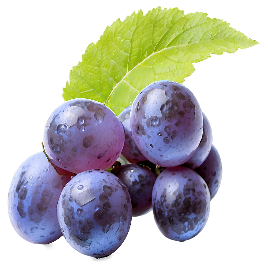 Frozen Grape Png Bio