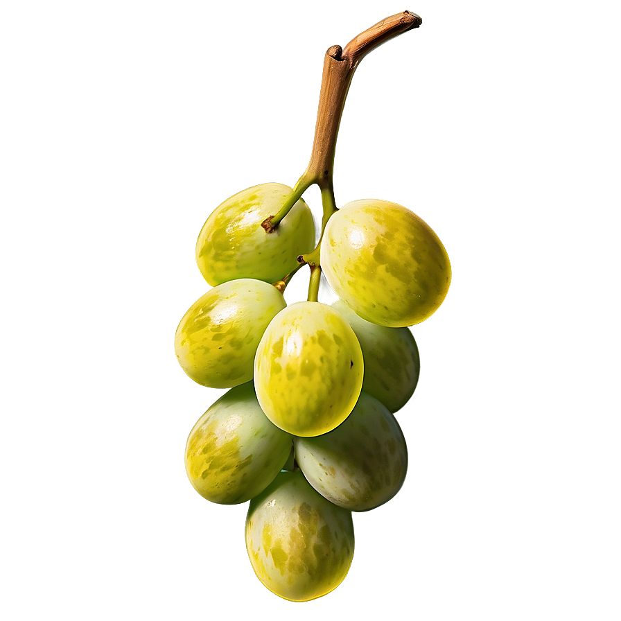 Frozen Grape Png Srq