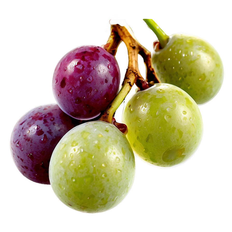 Frozen Grapes Png 13