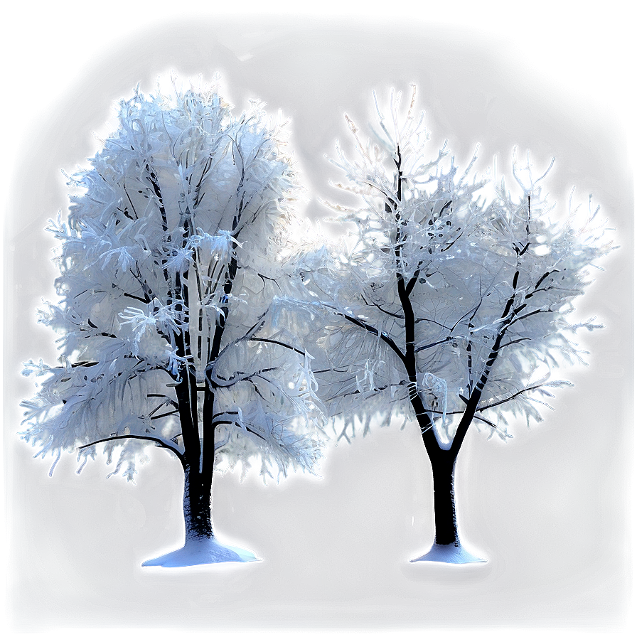 Frozen Winter Trees At Night Png Hlr