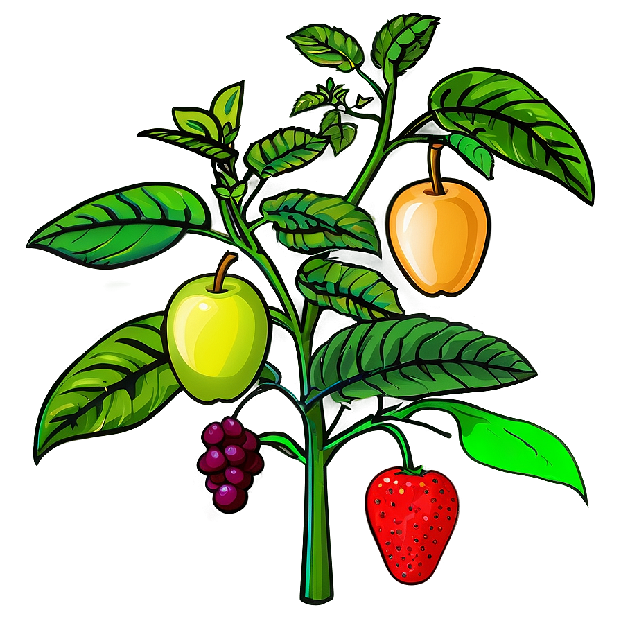 Fruit Bearing Plants Png 23
