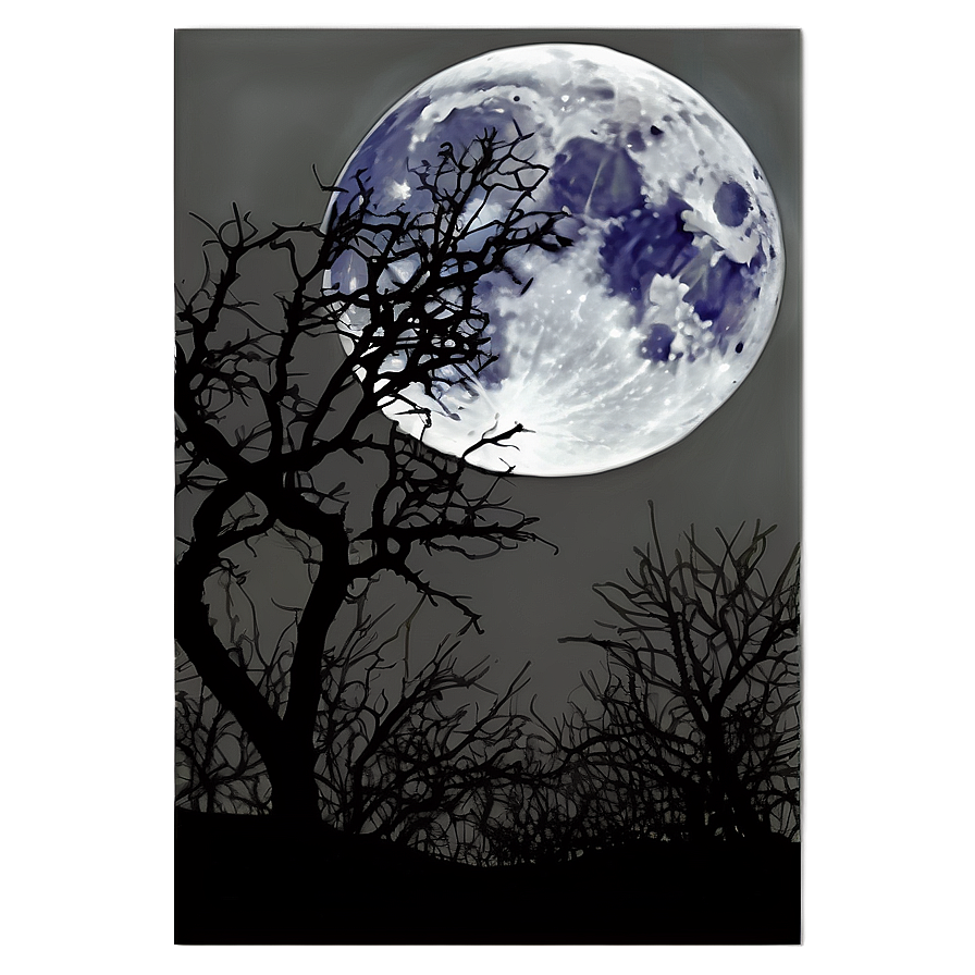 Full Moon Through Branches Png 05242024