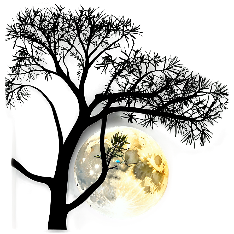 Full Moon Through Branches Png 34