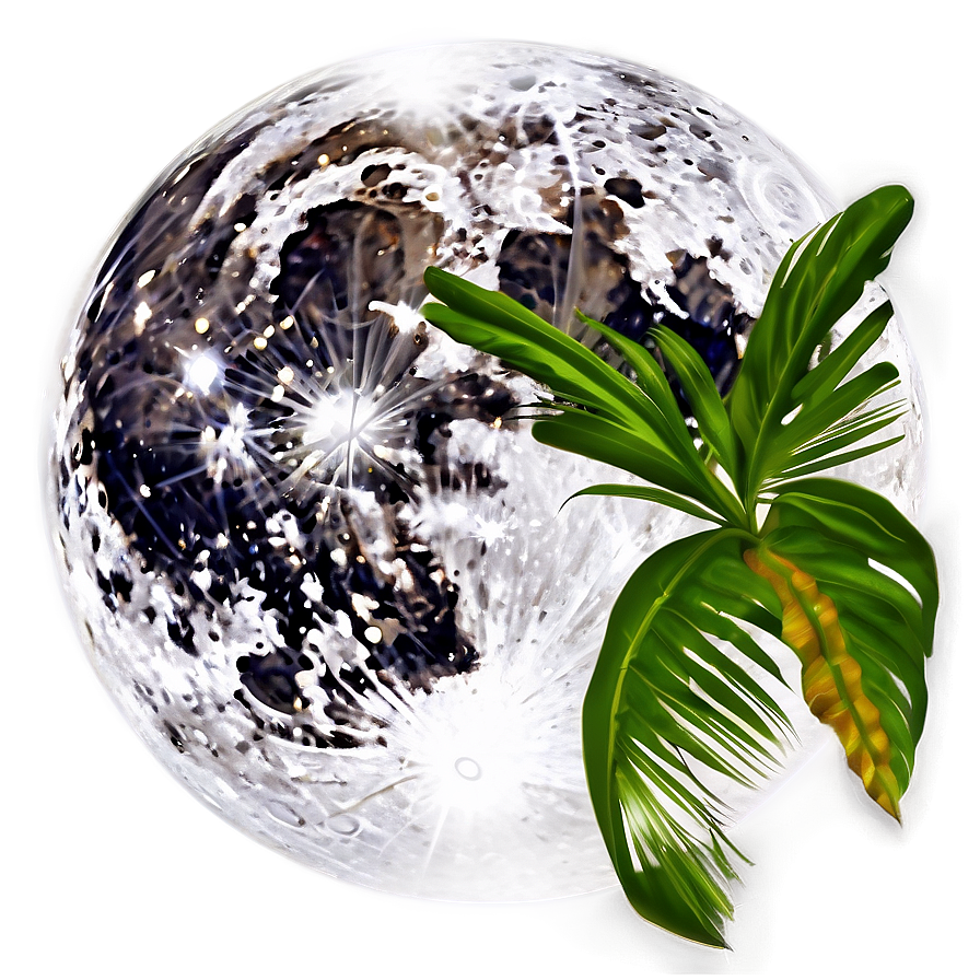 Full Moon Tropical Paradise Png Aav