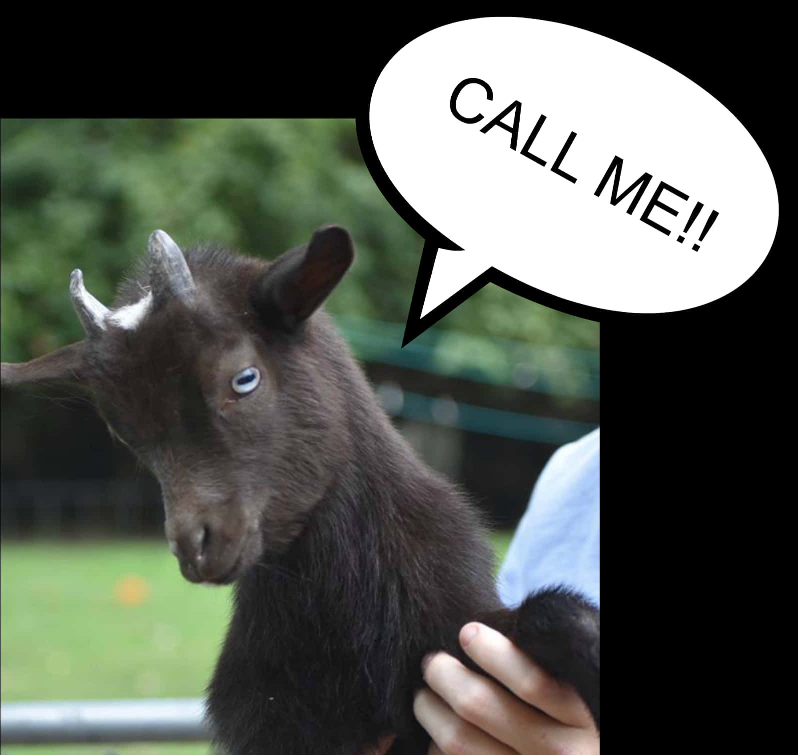 Funny Goat With Call Me Speech Bubble