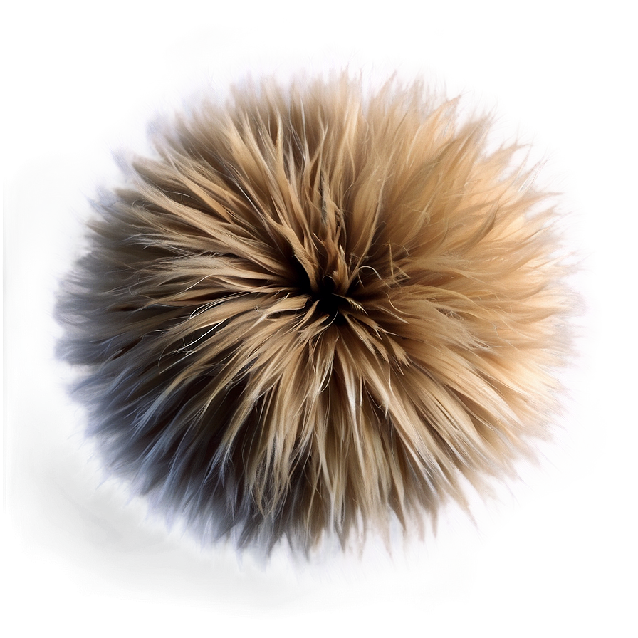 Furry Texture Png 06272024