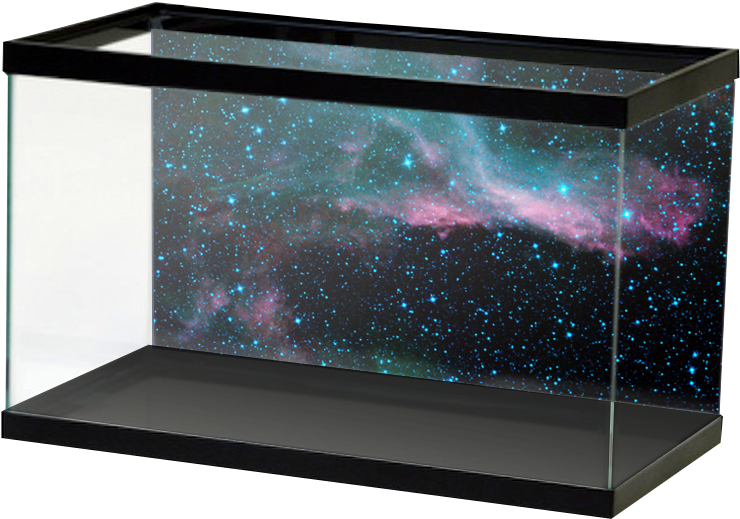 Galactic Theme Aquarium Backdrop