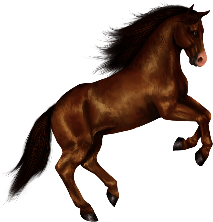 Galloping Brown Horse Illustration