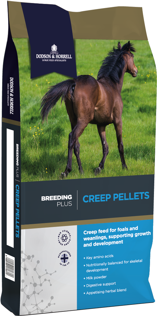 Galloping Foalin Field Horse Feed Package