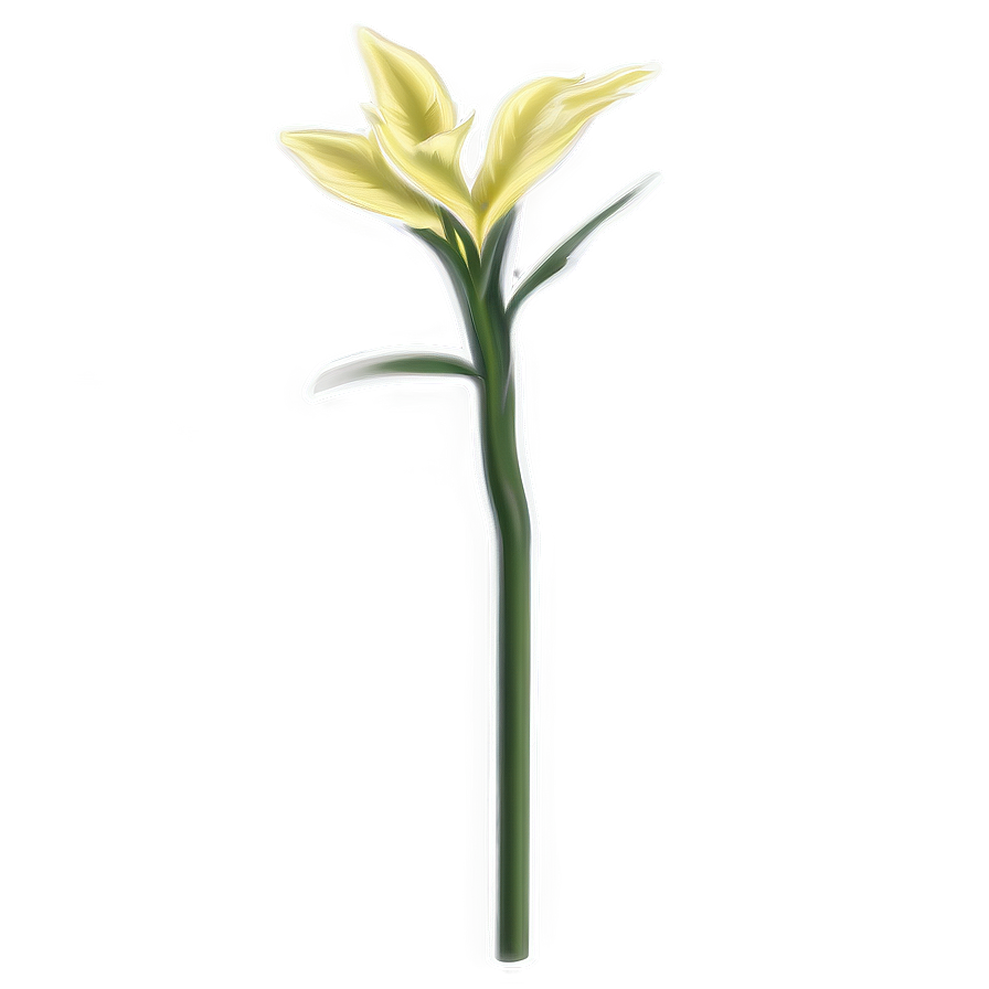 Garden Flower Stem Png 06132024