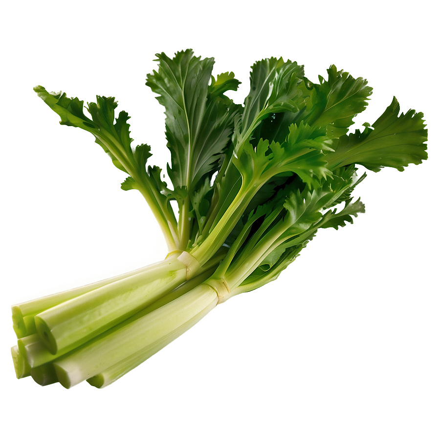 Garden Fresh Celery Png Ifj80