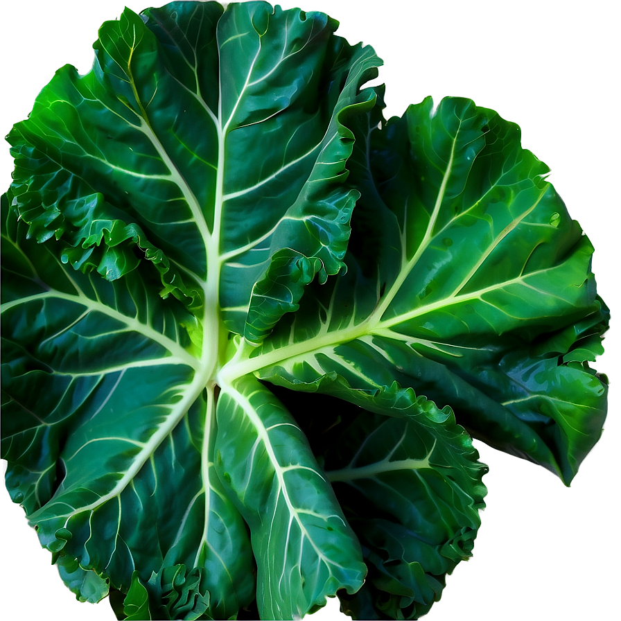 Garden Fresh Collard Greens Png 06252024