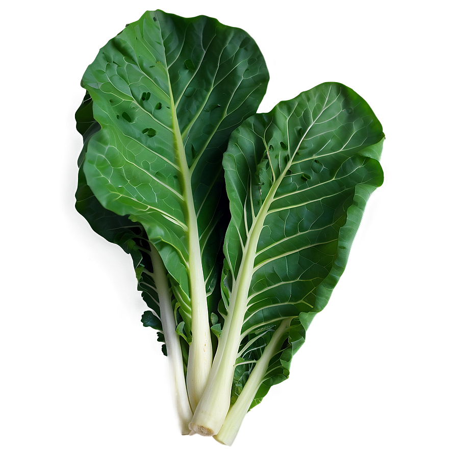 Garden Fresh Collard Greens Png Mhj