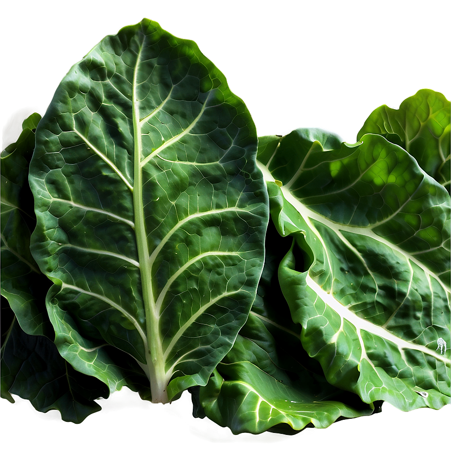 Garden Fresh Collard Greens Png Vth43