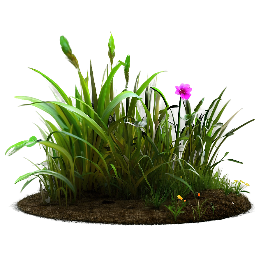 Garden Grass Patch Png Fih64