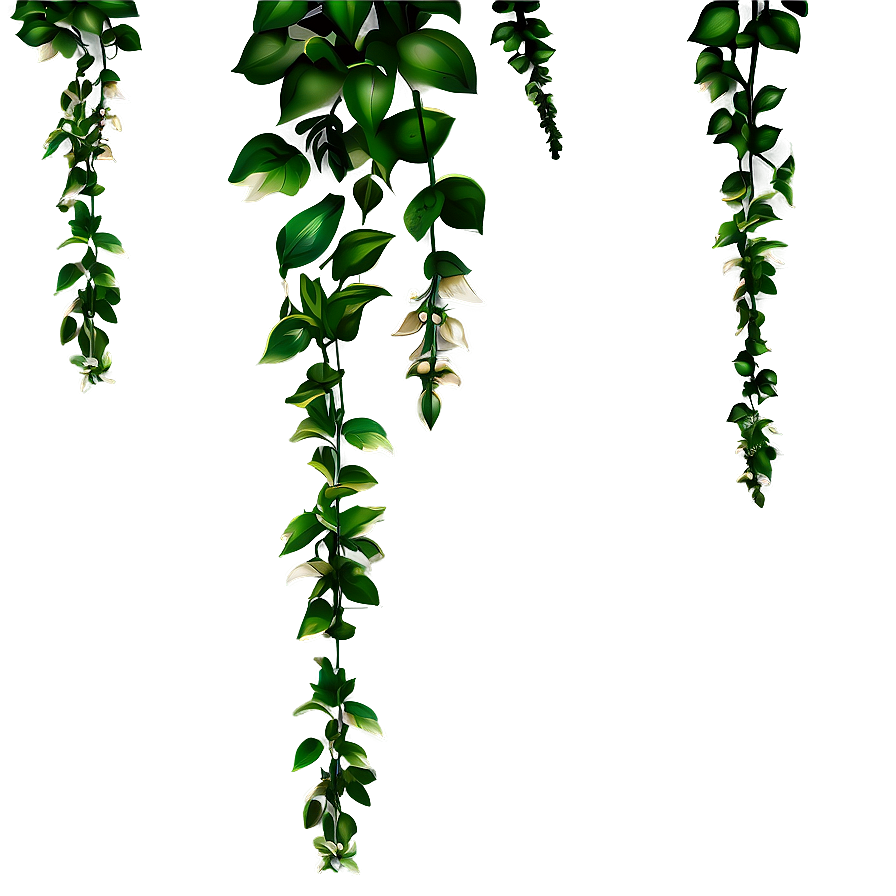 Garden Hanging Plant Png 05252024