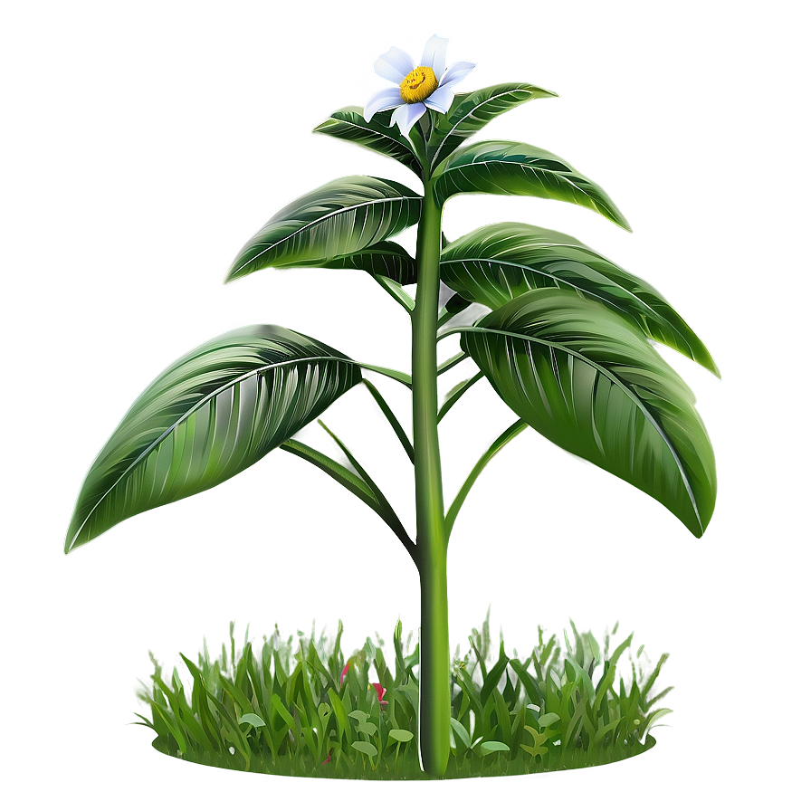 Garden Plant Png 38