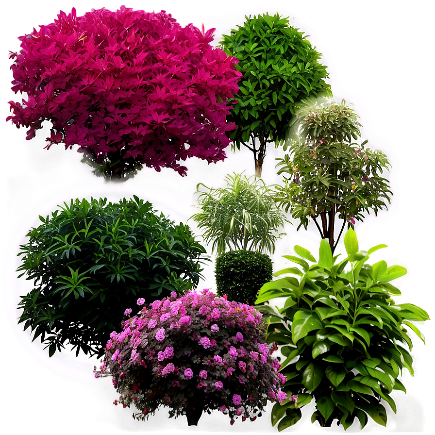 Garden Shrubs Png Yuc96