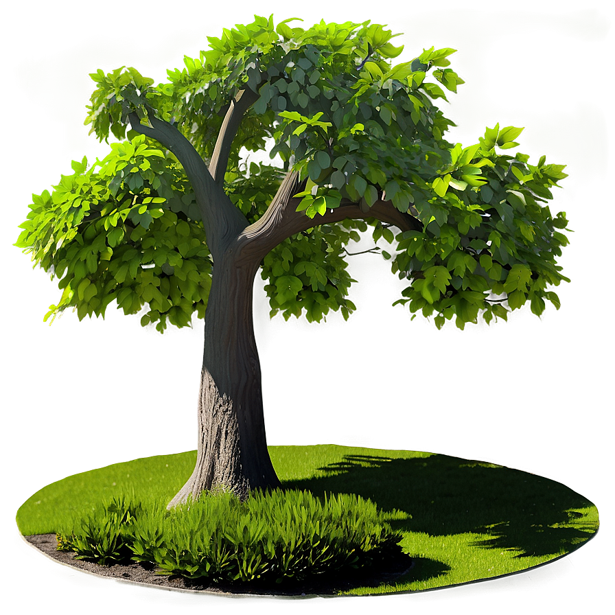 Garden Tree Shadow Png Uwn78