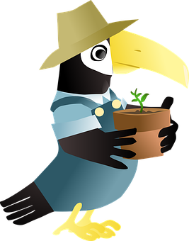 Gardener Toucan Cartoon