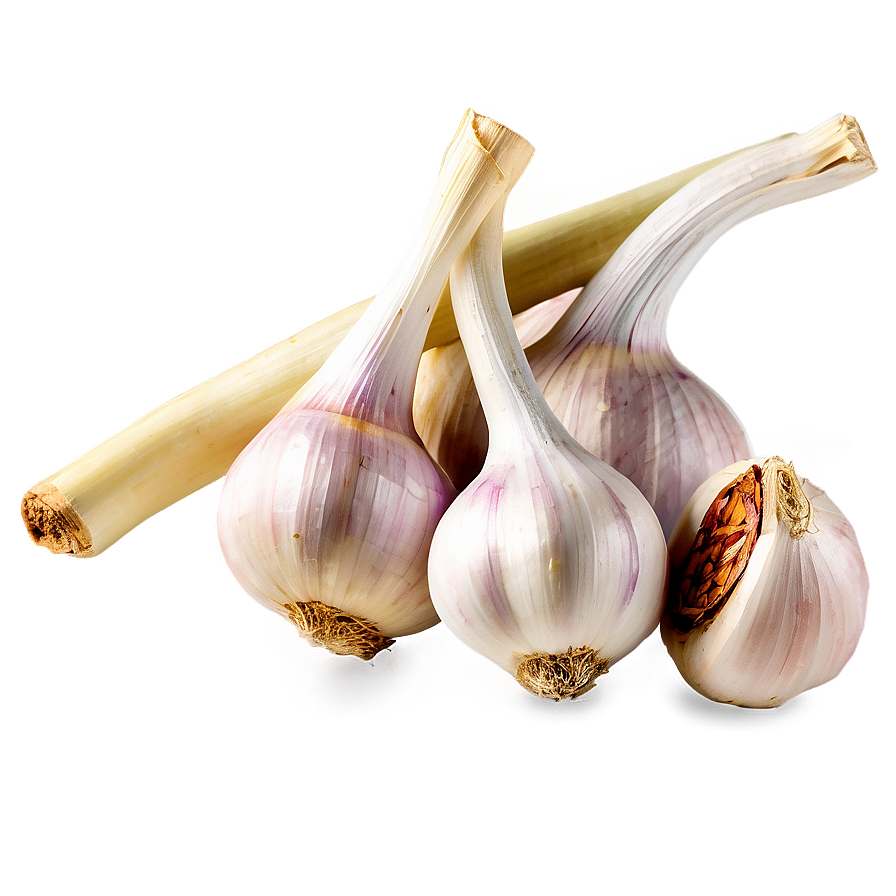 Garlic Basket Png 05242024