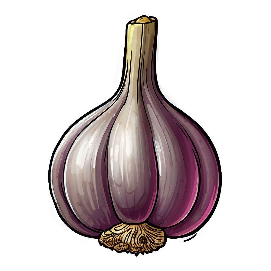 Garlic Sketch Png Hex