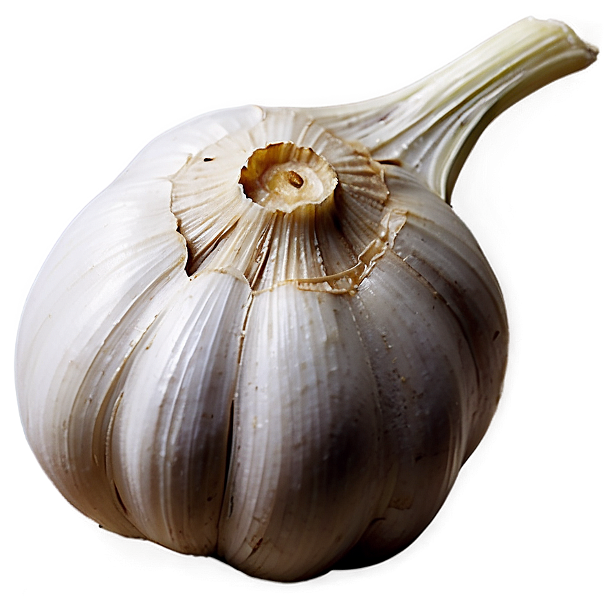 Garlic Theme Png 86