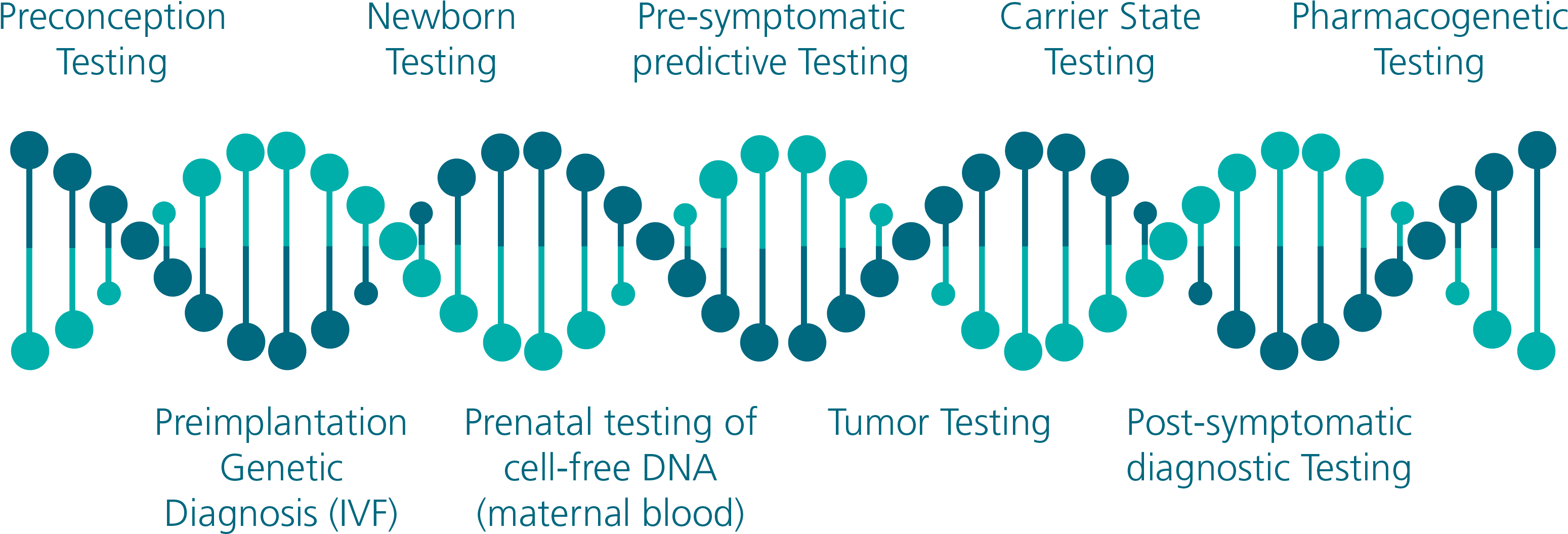 Genetic Testing Stages Infographic