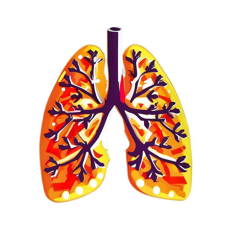 Geometric Lungs Illustration Png 05232024