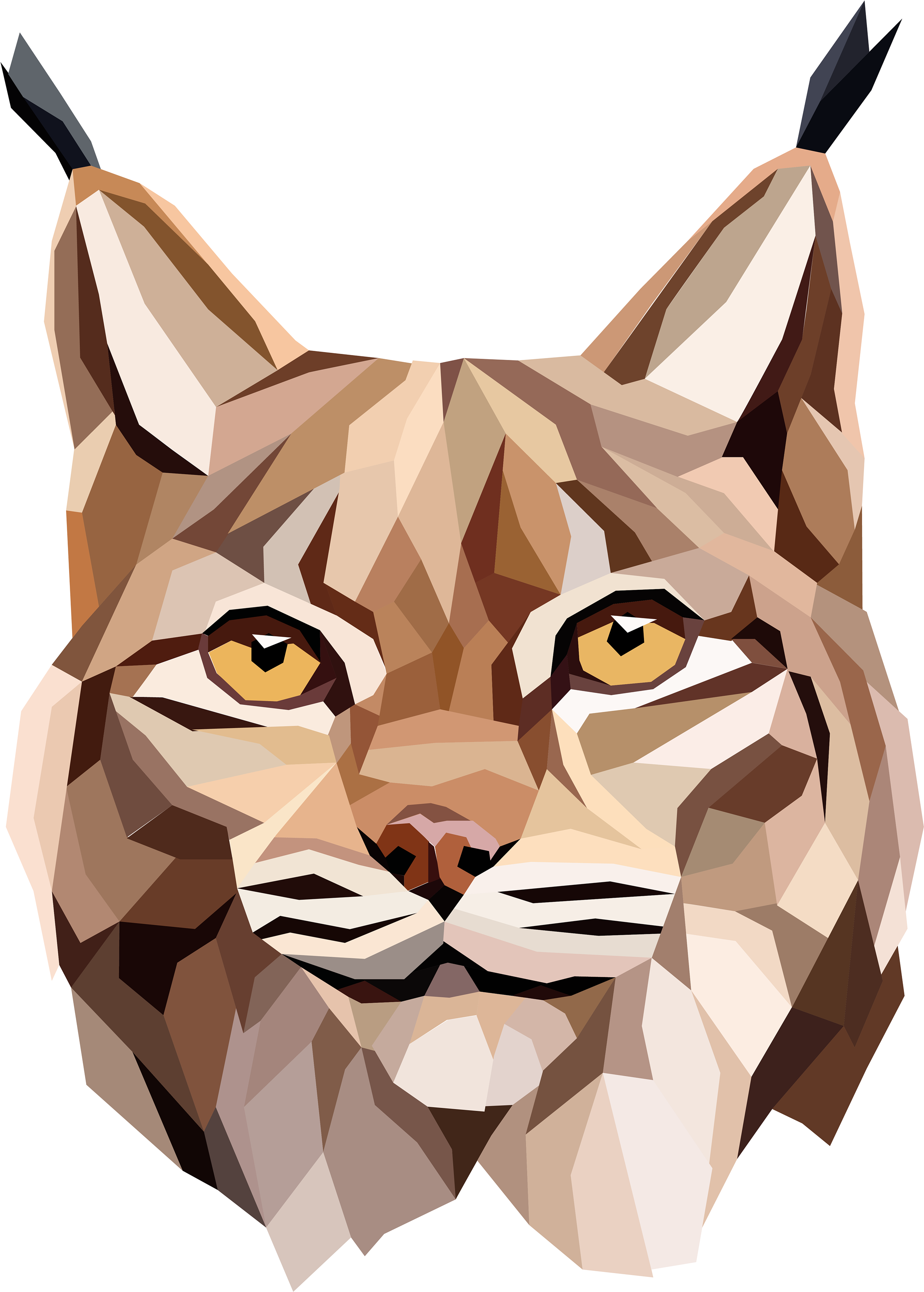 Geometric Lynx Portrait