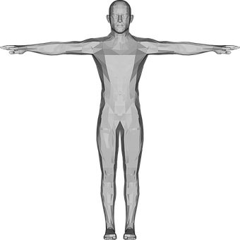 Geometric Man Model Xray View