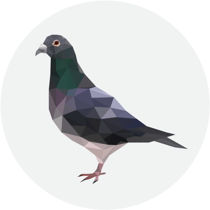 Geometric Pigeon Artwork