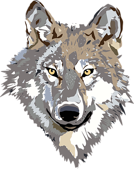 Geometric Wolf Portrait