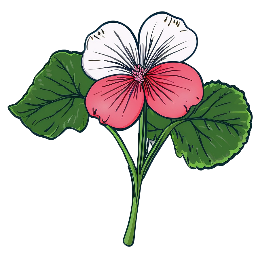 Geranium Flower Sketch Png Bkp