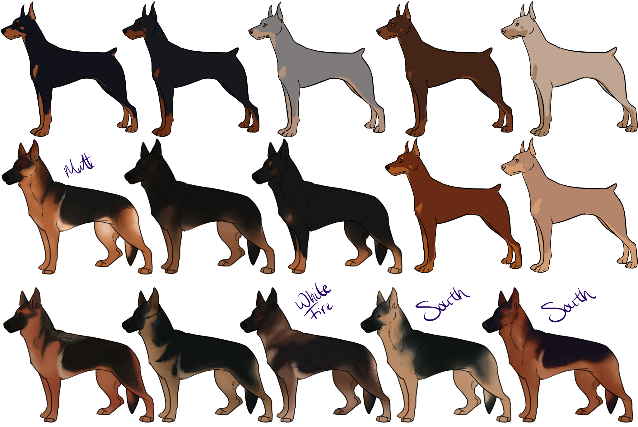 German Shepherd Coat Variations