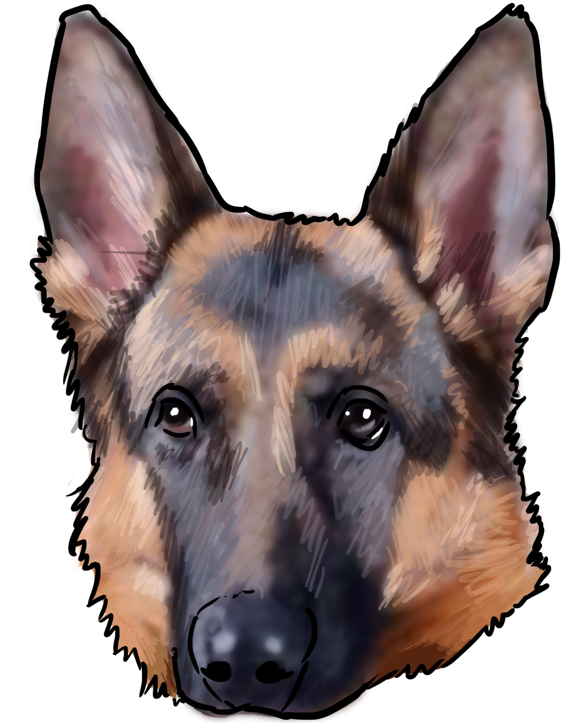 German Shepherd Portrait Illustration