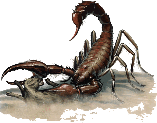 Giant Scorpion Attacking Wolf