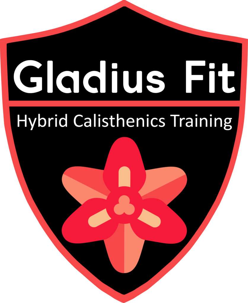 Gladius Fit Hybrid Training Logo