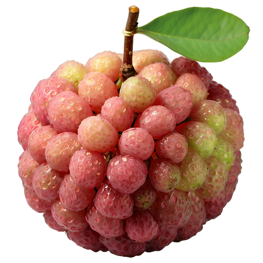 Glistening Fresh Lychee Png Fvo