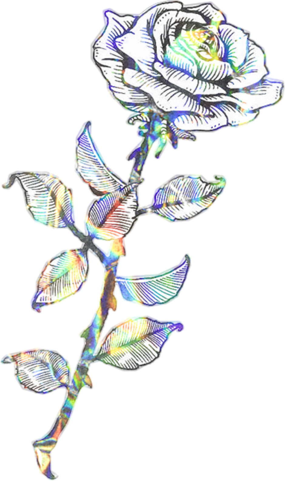 Glitched Rose Artwork