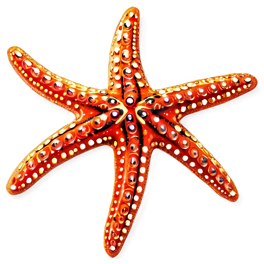 Glittering Starfish Clip Png Eqo94