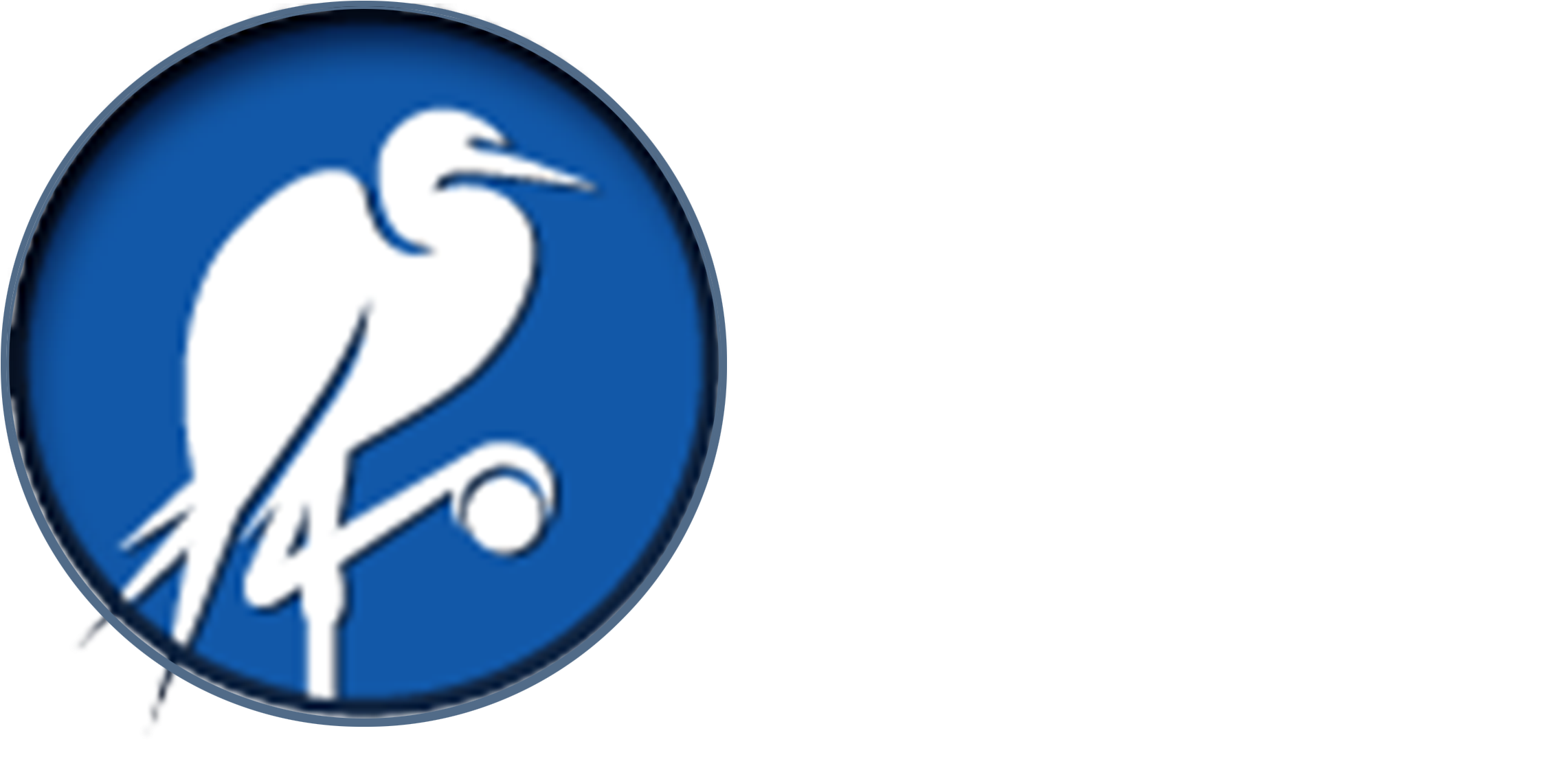 Global Security Institute Logo