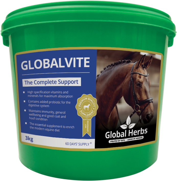 Global Vite Horse Supplement Bucket