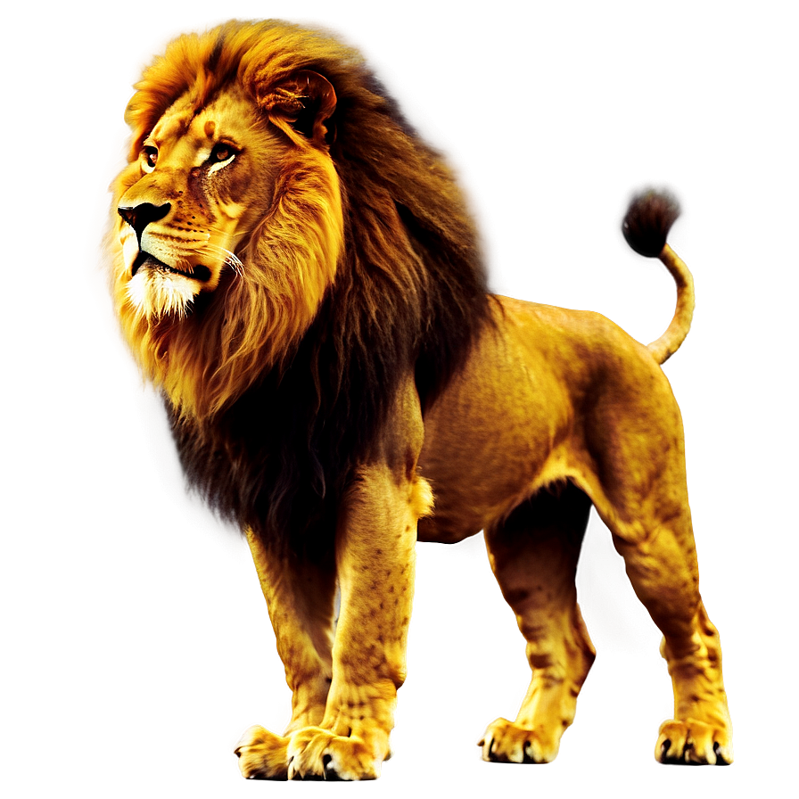 Glorious Lion Of Judah Image Png 40