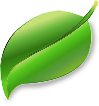 Glossy Green Leaf Graphic