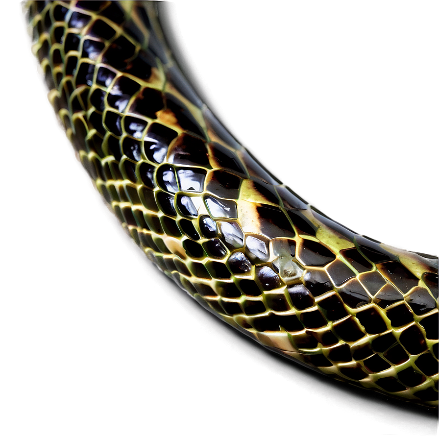 Glossy Snake Skin Png 06272024