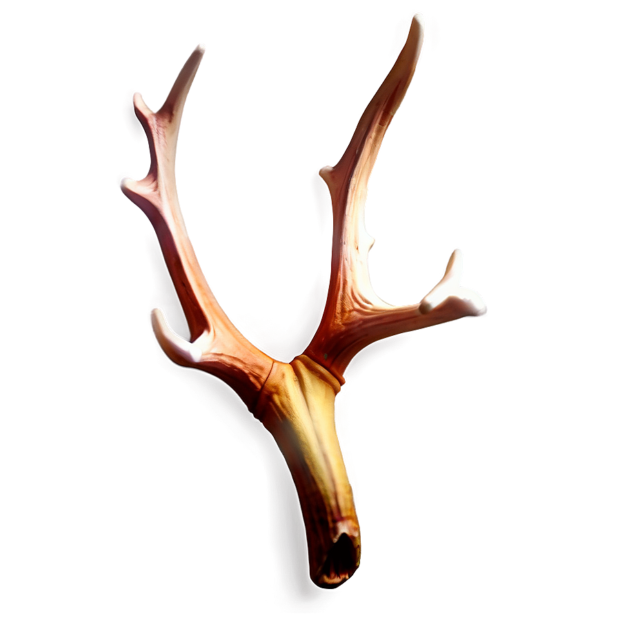 Glowing Deer Antler Png 06122024