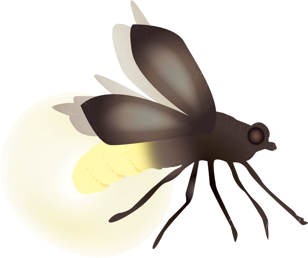 Glowing Firefly Illustration